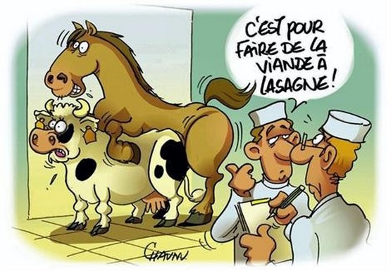 vache-et-cheval.jpg